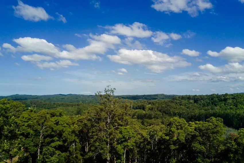 Birdsong Train Carriage Cabins Palmwoods Apartment